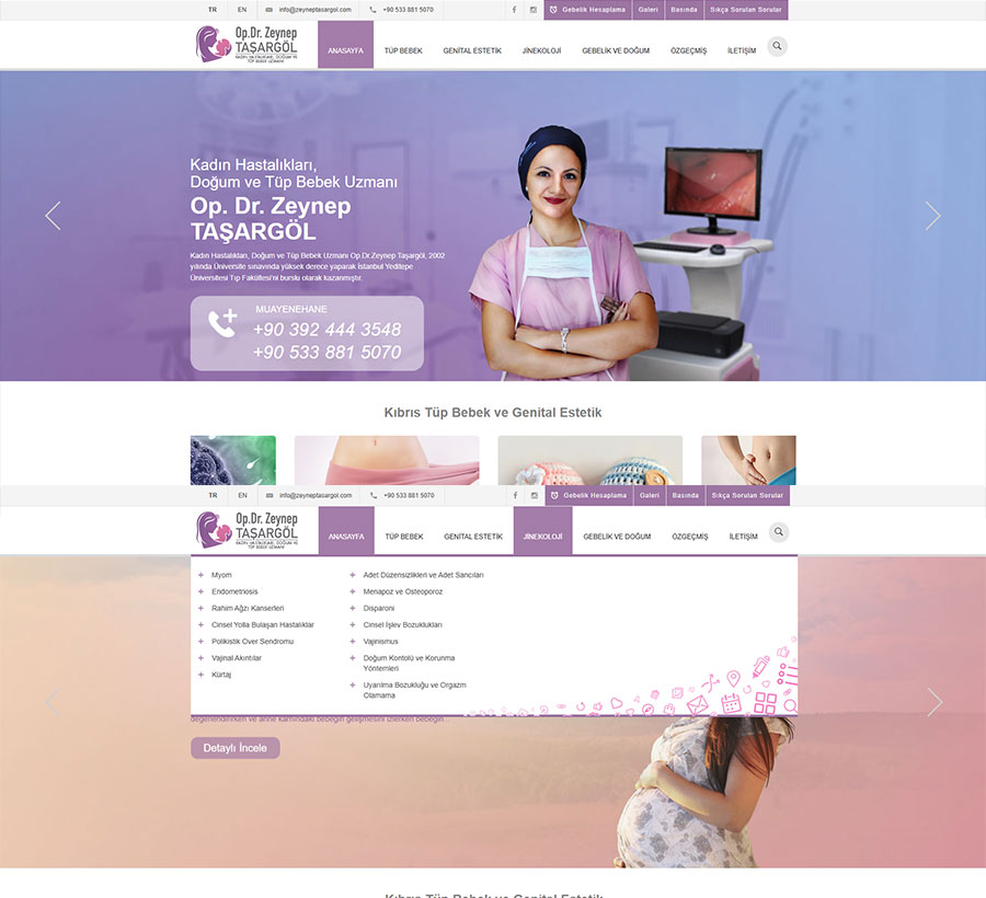 Web sitesi tasarımı referansı - Minto Medya
